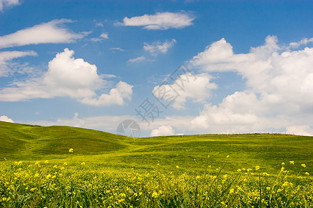 花朵的托斯卡纳景观场地农村地形丘陵草地地平线国家风景波浪蓝色图片