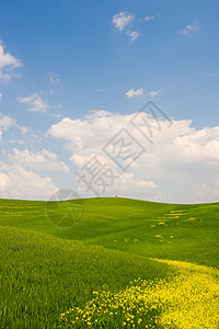 花朵的托斯卡纳景观地形地平线国家远景天气场地波浪蓝色天堂孤独图片