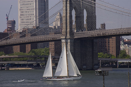 在布鲁克林桥下航行 2008年纪念日图片