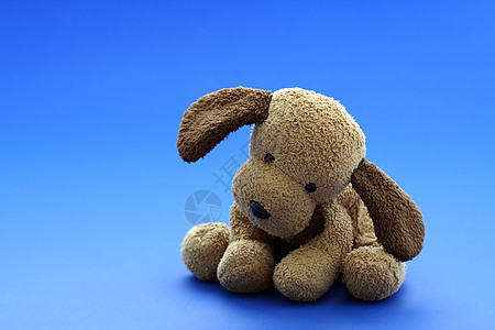 狗玩具寂寞孤独娃娃朋友动物背景图片