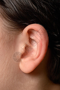 近距离接近人类耳朵的解剖图片