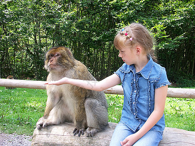 猴子快乐野生动物微笑生活公园孩子嘴唇眼睛猕猴友谊图片