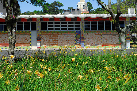 主任办公室UFSC建筑房子花朵花园背景图片