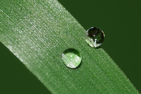 两滴雨图片