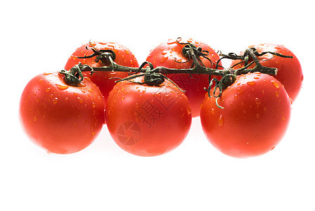 番茄营养食品白色绿色饮食膳食维生素工作室食物蔬菜图片