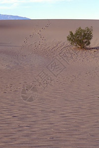 排水管桶沙丘环境死亡沙漠阴影荒野气候日落国家挑战性图片