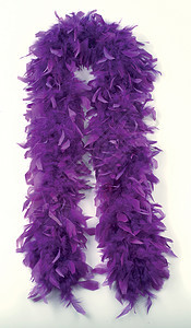 羽毛蟒蛇白色紫色配件背景图片