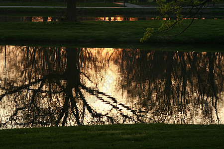 晚上在池塘中反射图片