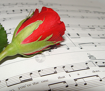 红玫瑰蜡烛灯芯花朵礼物床单花瓣创造力叶子粉色火焰图片