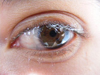 眼目与隐形透视镜眼睛隐形眼镜一部分瞳孔睫毛鸢尾花眼球图片