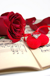 爱与音乐红色花瓣诱惑植物群乐器戒指床单歌词笔记细绳图片