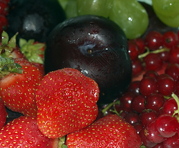 新鲜水果饮食李子营养热情农业绿色红色甜点植物食物图片