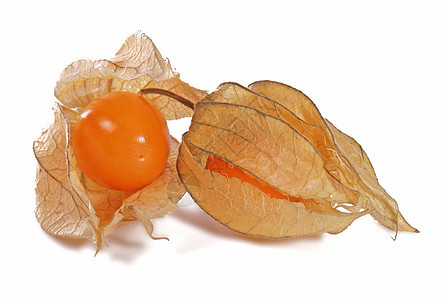 酸浆烹饪酸浆维生素食物叶子甜点植物醋栗季节水果图片