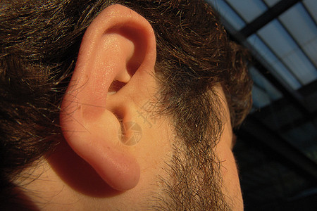 耳耳朵讲话男性助听器男生身体男人背景图片
