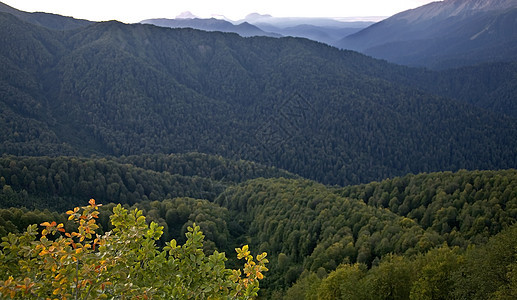 山区地貌森林阳光风景岩石季节蓝色环境太阳天空场景图片