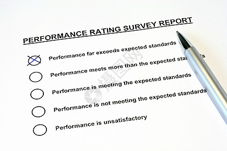 业绩评分调查报告图片
