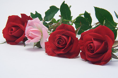 粉色玫瑰花情人花店丝绸纪念日周年浪漫花束玫瑰热情礼物背景图片