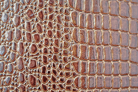 鳄鱼纹理棕色爬虫皮革材料宏观背景图片