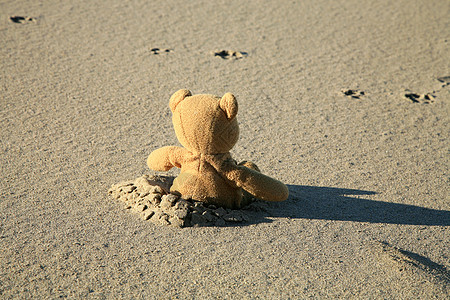 泰迪熊在沙滩上流浪孤独阴影动物寂寞玩具阳光脚印婴儿海滩图片