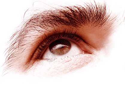 眼眼皮反射眉头角膜棕褐色瞳孔皮肤眼球器官头发图片