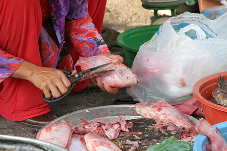 割断鳍女士市场旅行食物摊位图片