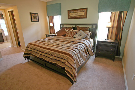 国王大师卧室房间奢华投资羽绒被地毯住宅夫妻桌子展示财富图片