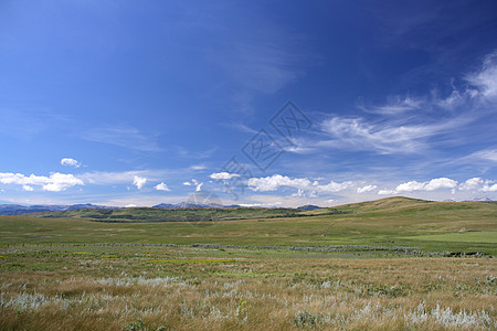 草原牧歌农村蓝色草地白色环境牧场活力地平线风景图片