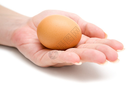 手头鸡蛋女士椭圆形棕色白色杂货营养蛋壳早餐手指女性图片