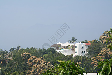 奢华家庭富豪成功班级窗户财产海岸玻璃风景大厦富裕图片