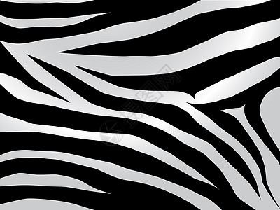 斑马设计皮肤动物园艺术毛皮墙纸荒野条纹情调插图绘画图片
