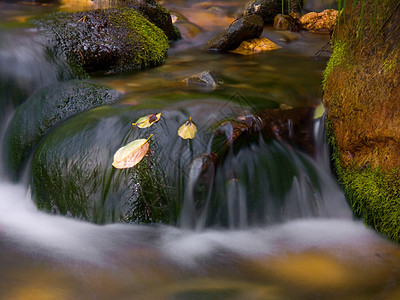 坠落山沟地形鹅卵石植物流动运动岩石河道苔藓叶子图片