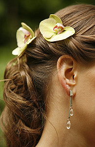 耳环戒指头发嘴唇新娘脖子女士女性耳朵化妆品皮肤图片