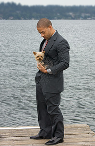 少数民族商务人士与约克郡Terrier狗男性领带黑色男人小狗套装感情码头猎犬管理人员图片