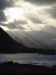 夏威夷Rays图片