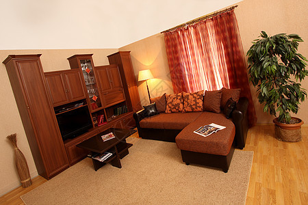 客厅枕头窗帘桌子扶手椅植物地毯财富公寓硬木沙发图片