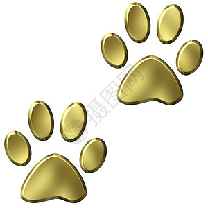 3D 金动物脚印跑步脚趾痕迹打印小狗踪迹赤脚野生动物爪子艺术品图片