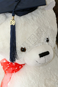 泰迪熊毕业毕业典礼学校流苏白色成就文凭庆典学生教育大学背景图片