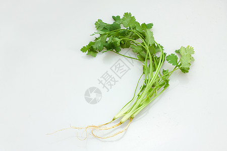 科里亚德语Name豆子洋葱绿色食物蔬菜树叶草药香料淡绿色背景图片