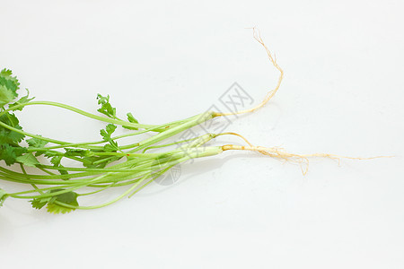 科里亚德语Name草药洋葱淡绿色豆子蔬菜树叶绿色香料食物背景图片