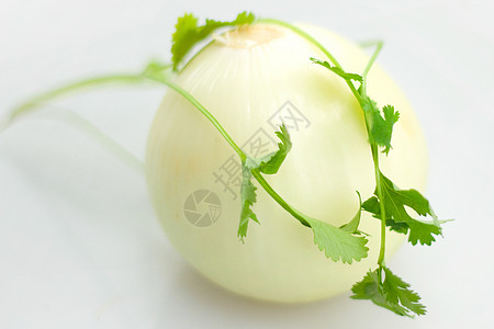 洋葱淡绿色树叶香料草药食物绿色蔬菜香菜豆子背景图片