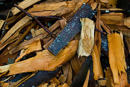 木材芯片碎片森林工业碎屑粮食软木木头乡村堆肥边角料背景图片