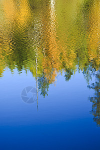 倒影反射环境橙子树木海浪波纹农村池塘蓝色叶子场景图片