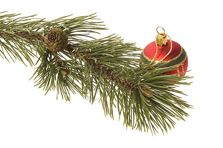 圣诞节装饰惊喜锥体松树装饰品装潢传统水晶宏观礼物桌子图片