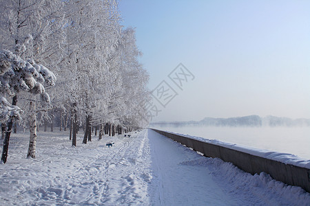 冬季 Irtysh图片