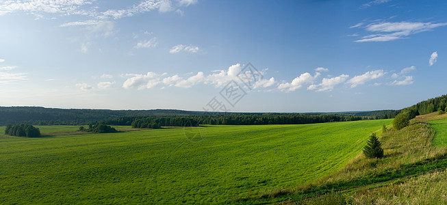 美丽的夏季风景 大自然 全景牧场气候蓝色树叶视野季节环境叶子森林国家背景图片