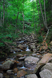 小水滴绿色瀑布环境叶子季节黄色荒野公园岩石森林图片
