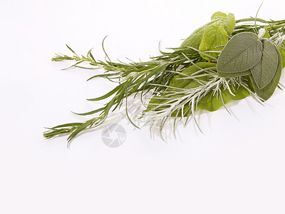 新鲜草药沙拉绿色叶子健康饮食食物花园香料植物素食美食图片