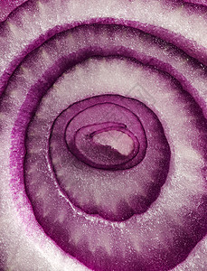 紫洋葱的宏图片