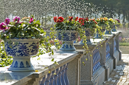 花盆花叶子工艺陶瓷黏土下雨植物学花束生长石头花园图片