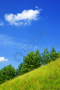 夏天山坡边图片